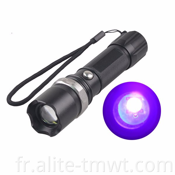 Torche UV LED ultraviolet à lampe noire rechargeable avec zoom